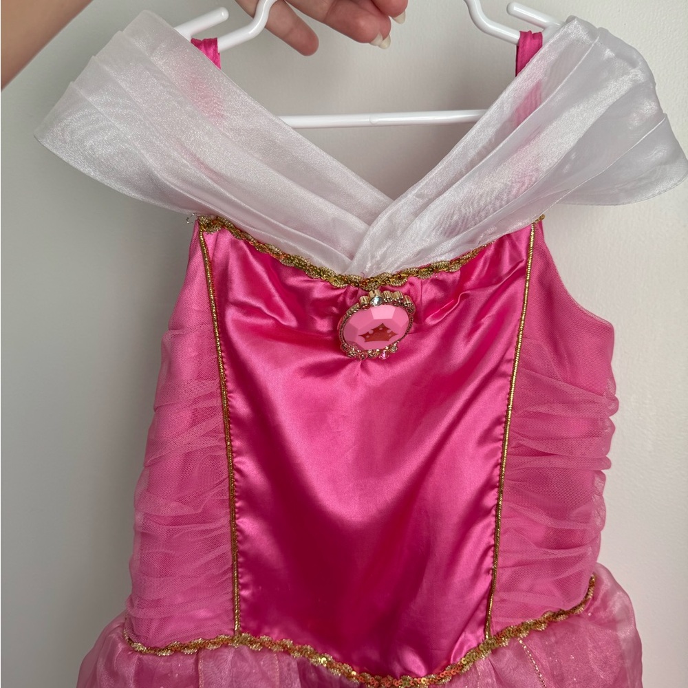Princess Aurora (Sleeping Beauty) Costume